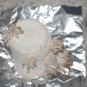 Pre-Sterilized Mushroom Substrate Jars 12 Pack