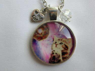Tabby Kitten Cat begging for donut cabochon charm pendant necklace