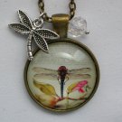 Symmetrical Dragonfly cabochon charm pendant necklace Symmetrical Dragonfly cabochon charm pendant necklace