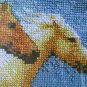 Janlynn Forever Wild Horses counted cross stitch kit 013-0314-W