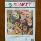 Dimensions Sunset Southwest Ornament plastic canvas cross stitch kit 19014