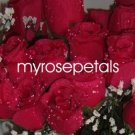 84 Silk Rose Flowers with Raindrops-Wedding Roses Flowers - Red