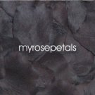 Petals - 1000 Silk Rose Petals Wedding Favors - Solid Colors - Black