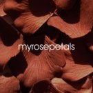 Petals - 1000 Silk Rose Petals Wedding Favors - Solid Colors - Brown