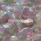 Petals - 1000 Silk Rose Petals Wedding Favors - Solid Colors - Iridescent