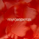 Petals - 1000 Silk Rose Petals Wedding Favors - Solid Colors - Orange