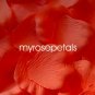 Petals - 1000 Silk Rose Petals Wedding Favors - Solid Colors - Orange