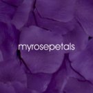 Petals - 1000 Silk Rose Petals Wedding Favors - Solid Colors - Purple