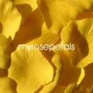 Petals - 1000 Silk Rose Petals Wedding Favors - Solid Colors - Yellow