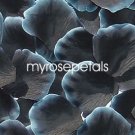 Petals - 1000 Silk Rose Petals Wedding Favors -  Two Tone - Black/White