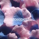 Petals - 1000 Silk Rose Petals Wedding Favors -  Two Tone - Blue/Pink