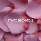 Petals - 1000 Silk Rose Petals Wedding Favors -  Two Tone - Dusty Rose/Rose