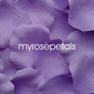 Petals - 1000 Silk Rose Petals Wedding Favors -  Two Tone - Light/Dark Purple