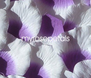 Petals - 1000 Silk Rose Petals Wedding Favors - Two Tone - Purple/White