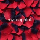 Petals - 1000 Silk Rose Petals Wedding Favors -  Two Tone - Red/Navy Blue