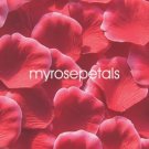 Petals - 1000 Silk Rose Petals Wedding Favors -  Two Tone - Red/White