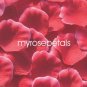 Petals - 1000 Silk Rose Petals Wedding Favors -  Two Tone - Red/White
