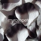 Petals - 1000 Silk Rose Petals Wedding Favors -  Two Tone - White/Black