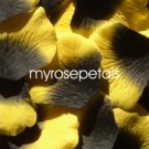 Petals - 200 Silk Rose Petals Wedding Favors -  Two Tone - Black/Yellow