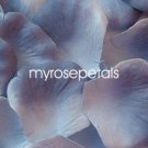 Petals - 200 Silk Rose Petals Wedding Favors -  Two Tone - Blue/Periwinkle