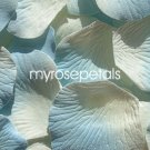 Petals - 200 Silk Rose Petals Wedding Favors -  Two Tone - Ivory/Blue