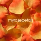 Petals - 200 Silk Rose Petals Wedding Favors -  Two Tone - Light/Dark Orange