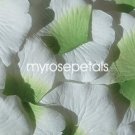 Petals - 200 Silk Rose Petals Wedding Favors -  Two Tone - Lime Green/White