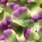 Petals - 200 Silk Rose Petals Wedding Favors -  Two Tone - Multi Color