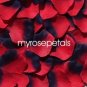 Petals - 200 Silk Rose Petals Wedding Favors -  Two Tone - Red/Navy Blue