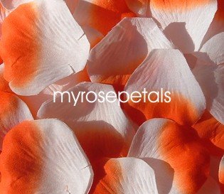 Petals - 200 Silk Rose Petals Wedding Favors - Two Tone - White/Orange