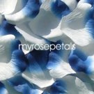 Petals - 200 Silk Rose Petals Wedding Favors -  Two Tone - White/Royal Blue