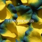 Petals - 200 Silk Rose Petals Wedding Favors -  Two Tone - Yellow/Royal Blue