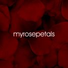 Petals - 200 Silk Rose Petals Wedding Favors - Solid Colors - Burgundy