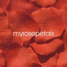 Petals - 200 Silk Rose Petals Wedding Favors - Solid Colors - Deep Orange