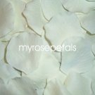Petals - 200 Silk Rose Petals Wedding Favors - Solid Colors - Ivory