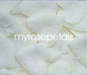 Petals - 1000 Heart Wedding Silk Rose Flower Petals Wedding Favors - Ivory