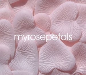 Petals - 1000 Heart Wedding Silk Rose Flower Petals Wedding Favors - Pale Pink