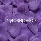 Petals - 1000 Heart Wedding Silk Rose Flower Petals Wedding Favors - Purple