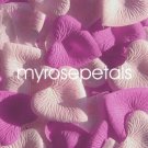 Petals - 1000 Heart Wedding Silk Rose Flower Petals Wedding Favors - Hot Pink & Pale Pink