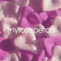 Petals - 1000 Heart Wedding Silk Rose Flower Petals Wedding Favors - Hot Pink & Pale Pink
