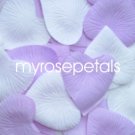 Petals - 1000 Heart Wedding Silk Rose Flower Petals Wedding Favors - Lavender & White
