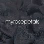 Petals - 200 Heart Wedding Silk Rose Flower Petals Wedding Favors - Black