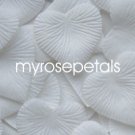 Petals - 200 Heart Wedding Silk Rose Flower Petals Wedding Favors - White