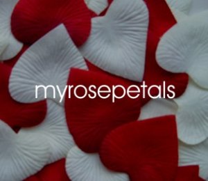 Petals - 200 Heart Wedding Silk Rose Flower Petals Wedding Favors - Ivory & Burgundy