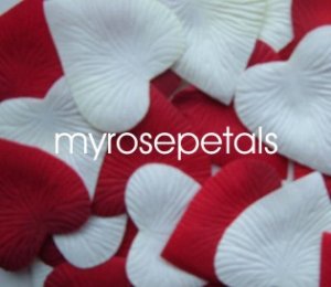 Petals - 200 Heart Wedding Silk Rose Flower Petals Wedding Favors - White & Burgundy