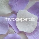 Petals - 200 Wedding Silk Rose Flower Petals Wedding Favors - Lavender & Ivory