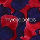 Petals - 200 Wedding Silk Rose Flower Petals Wedding Favors - Navy Blue & Red
