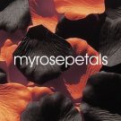 Petals - 200 Wedding Silk Rose Flower Petals Wedding Favors - Orange & Black