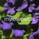 Petals - 200 Wedding Silk Rose Flower Petals Wedding Favors - Purple & Lime Green