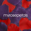 Petals - 200 Wedding Silk Rose Flower Petals Wedding Favors - Purple & Red